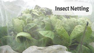 Insect Netting