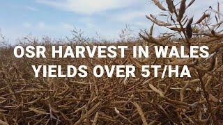 Oilseed rape harvest 2021 in Wales