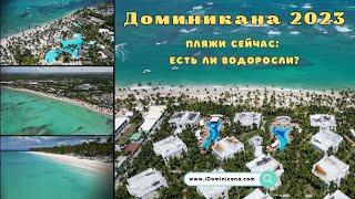 Доминикана сейчас: как выглядят пляжи, есть ли водоросли, где лучше отдыхать - iDominicana.com