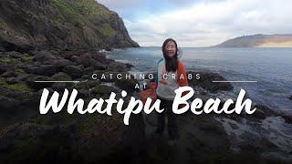 Whatipu Beach | Huia Beach | Catching the Crabs  | Paratutae Island |New Zealand | Omanawanui Track