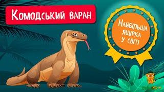 Дива природи. Явища навколо нас. Дракон Комодо 