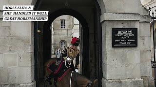 "HAVE SOME RESPECT!" Armed Police Confront Disrespectful Tourists at Horse Guards in London