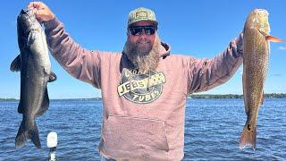 SECRET bait for CATFISH & Red Drum! Catch, Clean, Cook