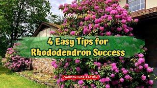 4 Easy Tips for Rhododendron Success  // Gardening Tips