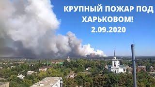 ЛЕСНОЙ ПОЖАР ПОД ХАРЬКОВОМ! (2.09.2020)