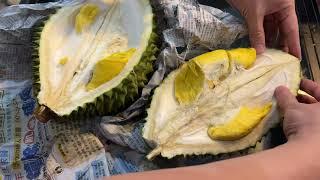 Durian Unboxing - Malaysian Musang King｜Taste Test #durian #fruit #songlele