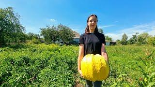 HOW A GIRL LIVES IN A UKRAINIAN VILLAGE. COOKING PUMPKIN FOR LUNCH