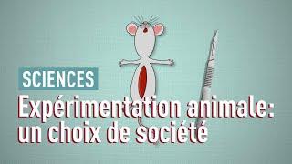 Faut-il se passer de l’expérimentation animale?