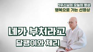 네가 부처라고 -  달팽이와 체리 - 진우스님의 선명상 이야기 #선명상 #조계종 #진우스님