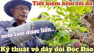 Kỹ thuật vô dây ĐỘC ĐÁO chú Sáu Bình Dương tỉa uốn tạo dáng sửa cây mai non đẹp tiết kiệm kẽm tối đa