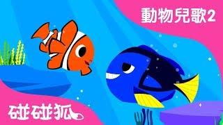 熱帶魚 | 動物兒歌2 | 2018 | 碰碰狐Pinkfong | 寶寶兒歌