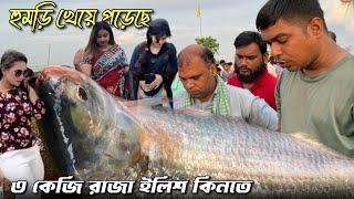 অনেক সস্তায় পাওয়া যাচ্ছে পদ্মার টাটকা ইলিশ মাছ | bd friesh river hilsha fish price | Dk Agro