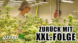 Wie an Cannabispflanzen geforscht wird & Neues aus der LED Produktion - Zu Besuch bei SANlight