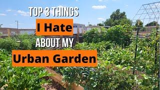 Top 3 Things I Hate About My Urban Garden