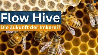 Zukunft der Bienenbeuten? - Flow Hive - Honig einfach abzapfen?