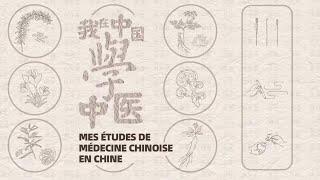 Mes études de médecine chinoise en Chine