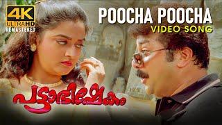 Poocha Poocha Video Song | Pattabhishekam 4K | Jayaram | Mohini | Berny-Ignatius | M G Sreekumar