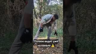 фрагмент"одни дома на краю света" #психология #философияжизни #социальнаяпсихология #мотивация