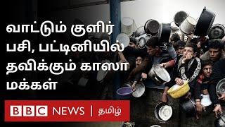 பிபிசி தமிழ் தொலைக்காட்சி செய்தியறிக்கை | BBC Tamil TV News 04/12/2024