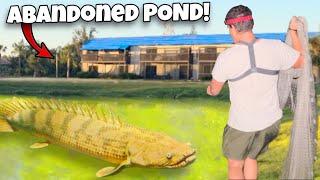 I Found EXOTIC FISH In Abandoned POND!