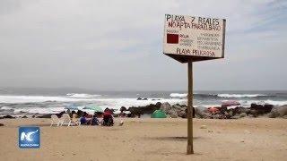 Insólito, solo 13 % de las playas, aptas para bañarse en Chile