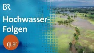 Natur leidet unter Folgen des Hochwassers | quer vom BR