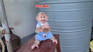 Monkey David crossed his arms and apologized to Mom for getting angry