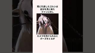 「全牝馬からガチ恋される」ゴールドシップについての雑学