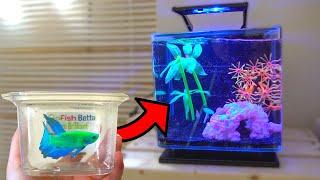 *NEW* GLO BETTA ONLY FISH TANK AQUARIUM SETUP!!