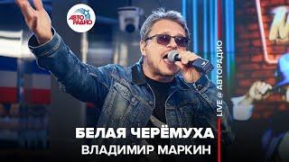 Владимир Маркин - Белая Черёмуха (LIVE @ Авторадио)