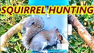 EPIC SQUIRREL HUNTING - A VERY BUSY MORNING - WEIHRAUCH HW100