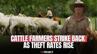 Farmers Fight Back Against Cattle Rustlers