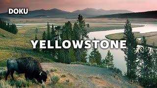 Yellowstone – Amerikas größtes Naturwunder (NATUR DOKU auf Deutsch | Ganze Doku HD)