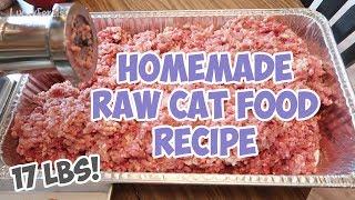 Can RAW Food REALLY Make Your Cat Healthier?