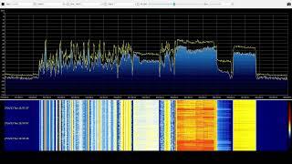 Amsterdam Bitstream Live Stream