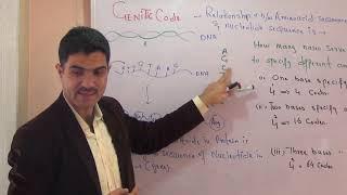 L-8 Genetic code and its properties Urdu Hindi by Dr Hadi