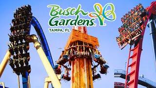 MUST DO! The 17 BEST Things to Do at Busch Gardens Tampa Bay in 2024!