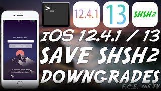 iOS 12.4.1 / iOS 13 - How To Save SHSH2 Blobs For iOS DOWNGRADES & JAILBREAK (2 Methods)