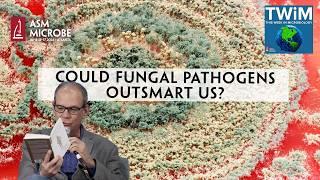 Could Fungal Pathogens Outsmart US? - This Week in Microbiology