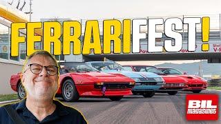 DRØMME-biler på stribe – FULD gas i uvurderlige Ferrari'er! | Bil Magasinet