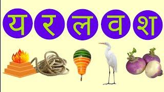 HINDI ALPHABETS (YA RA LA VA SHA) for kids ।। हिंदी अक्षर य र ल व श