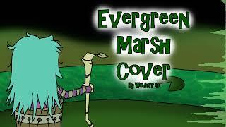 Evergreen Marsh Cover