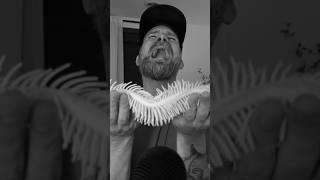 RIP my sweet friend ️ ASMR 10 Triggers in 10 Seconds