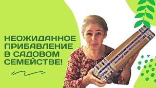 Саженцы от Марины с канала "ДОМ у РЕКИ ДелаСадовые"