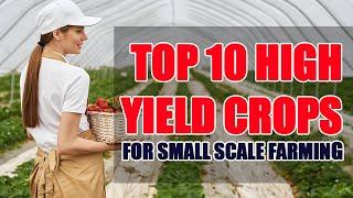 Small Scale Farming Success: Discover the Best High-Yield Crops #HighYieldCrops #SustainableFarming