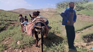 Master Mustafa cuts the hair of the goats and helps the old woman