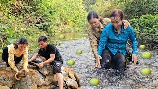 Finished the fish pond. Duyen had an accident on the way to harvest. Ly Thi Duyen