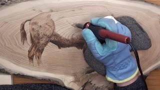 PYROGRAPHY: Wood burning a buffalo on butternut wood