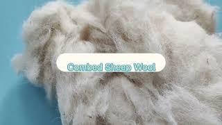 The cheapest carded wool for carpet yarn spinning