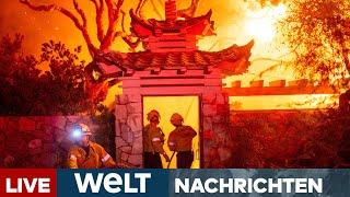 USA: FLAMMENINFERNO KALIFORNIEN - Zerstörung wie in Kriegszone - Hollywood bedroht | WELT LIVESTREAM